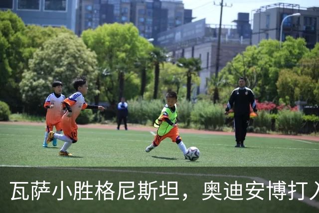 瓦萨小胜格尼斯坦，奥迪安博打入制胜球